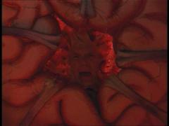 ������� ���������� � ���� ���������� ����