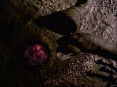 ����� ��������� � ���������� ����