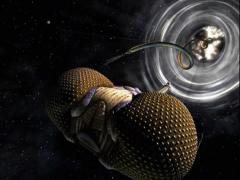 �������� ���������� ���� ������� ����� ����� ����������� ����